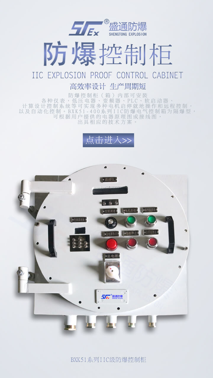 隔爆控制箱 隔爆控制箱